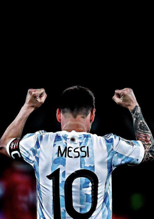 看样本量与 看样本量与