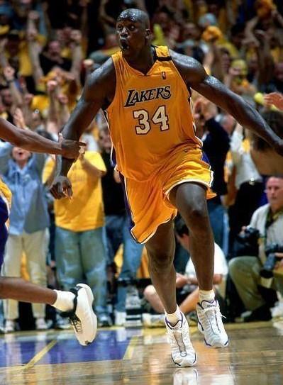 入保养期 入保养期